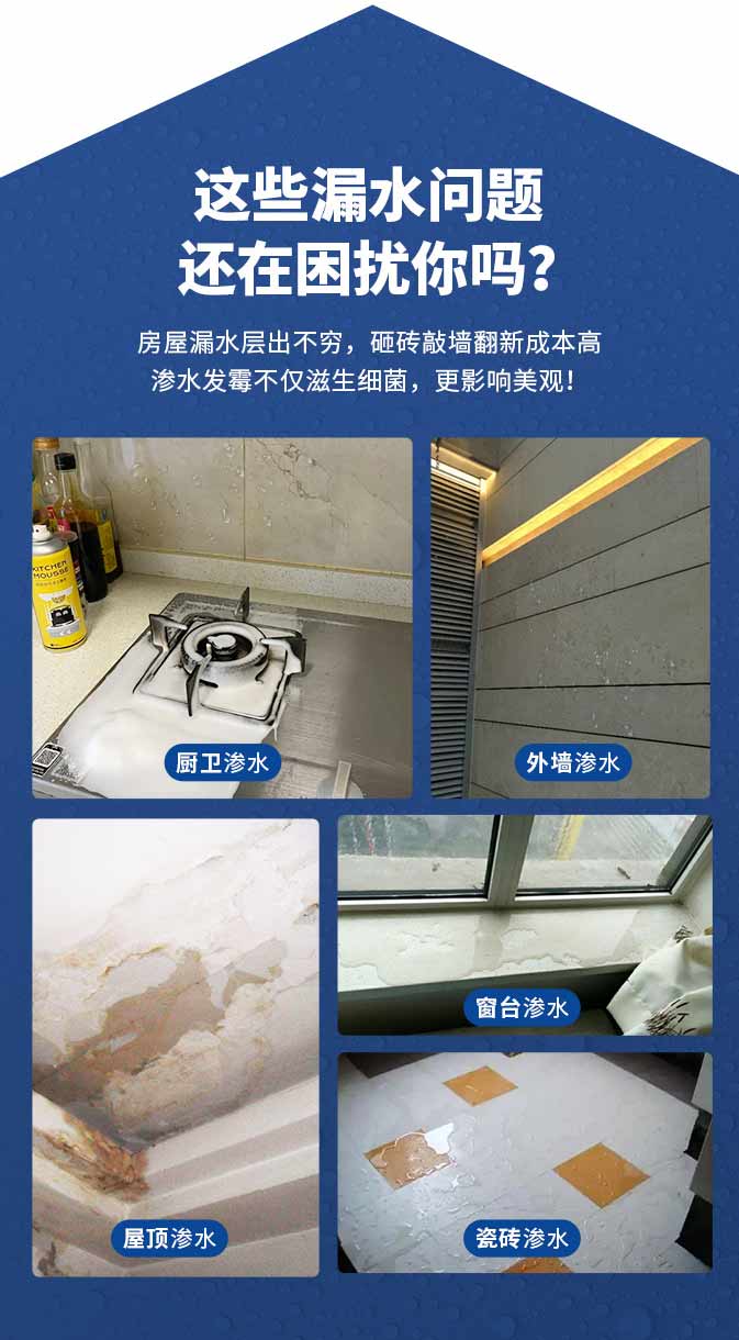 中国·美高梅4688集团am(股份)有限公司-官方网站